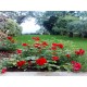 Properties for Sale_Townhouses_RESTORED PALACE FOR SALE IN LE MARCHE  Palace in old town whit beautiful garden for sale in Le Marche in Le Marche_11